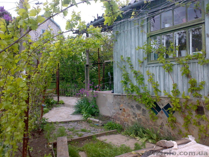 Дача-Николаевская обл.-Зайчевское - <ro>Изображение</ro><ru>Изображение</ru> #3, <ru>Объявление</ru> #600843