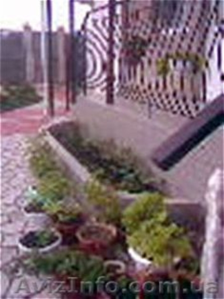 Отдых в Крыму! Абсолютно недорого! - <ro>Изображение</ro><ru>Изображение</ru> #3, <ru>Объявление</ru> #560815