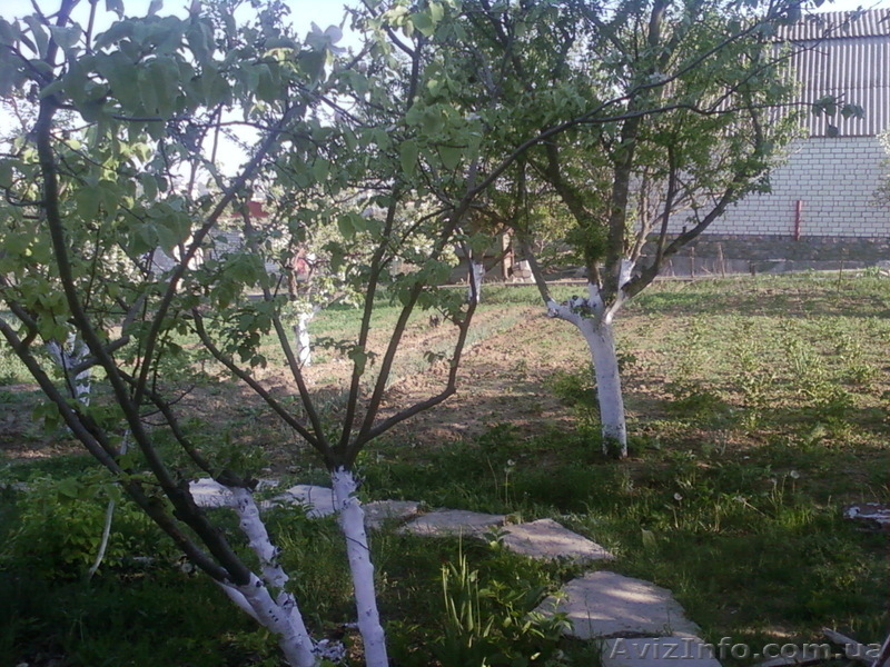 Продаю дачу р-н Терновка - <ro>Изображение</ro><ru>Изображение</ru> #5, <ru>Объявление</ru> #645592