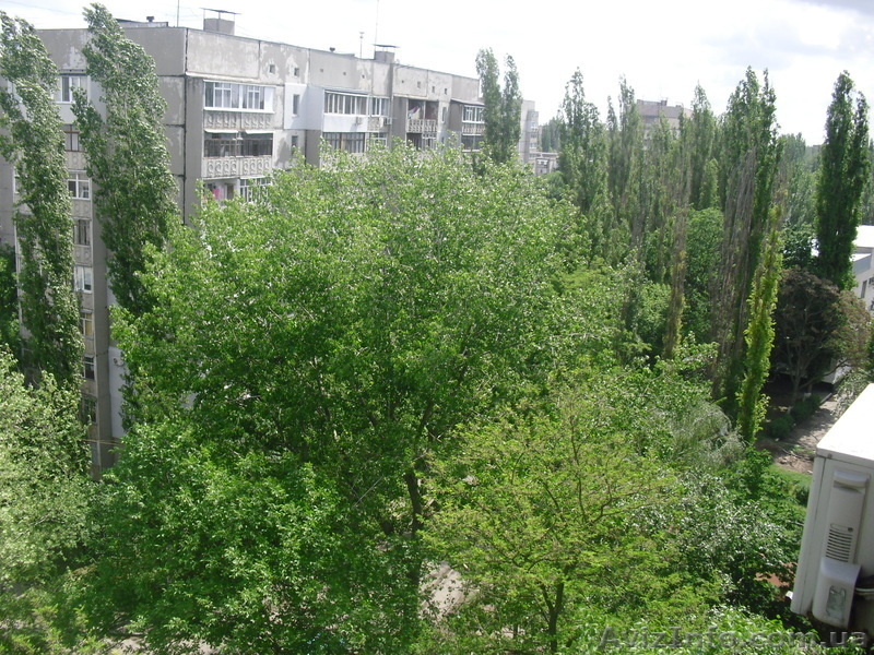 Срочно продаю   2-х ком.  квартиру - <ro>Изображение</ro><ru>Изображение</ru> #6, <ru>Объявление</ru> #679304