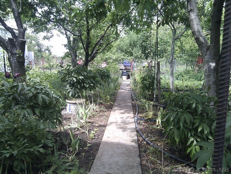 продам дачу очень хорошую - <ro>Изображение</ro><ru>Изображение</ru> #6, <ru>Объявление</ru> #690626