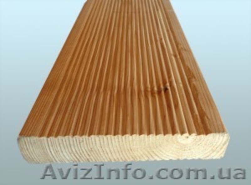 Лиственница сибирская Николаев Украина - <ro>Изображение</ro><ru>Изображение</ru> #3, <ru>Объявление</ru> #153149