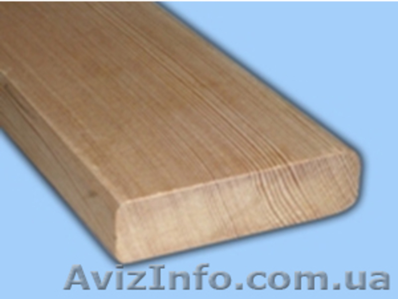 Лиственница сибирская Николаев Украина - <ro>Изображение</ro><ru>Изображение</ru> #4, <ru>Объявление</ru> #153149