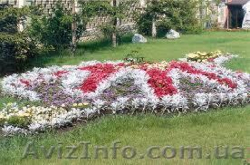 Курсы Ландшафтного дизайна от учебного центра Территория знаний - <ro>Изображение</ro><ru>Изображение</ru> #2, <ru>Объявление</ru> #754961