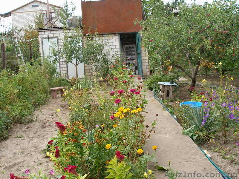 Продам дачу в поселке Зайчевское - <ro>Изображение</ro><ru>Изображение</ru> #3, <ru>Объявление</ru> #791057