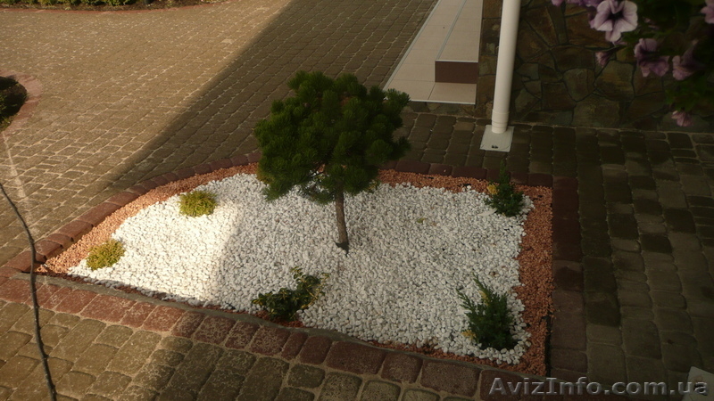 Ландшафтный дизайн,озеленение в Николаеве - <ro>Изображение</ro><ru>Изображение</ru> #5, <ru>Объявление</ru> #809759