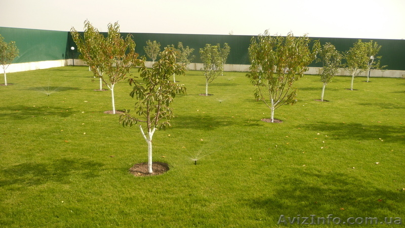 Ландшафтный дизайн,озеленение в Николаеве - <ro>Изображение</ro><ru>Изображение</ru> #4, <ru>Объявление</ru> #809759