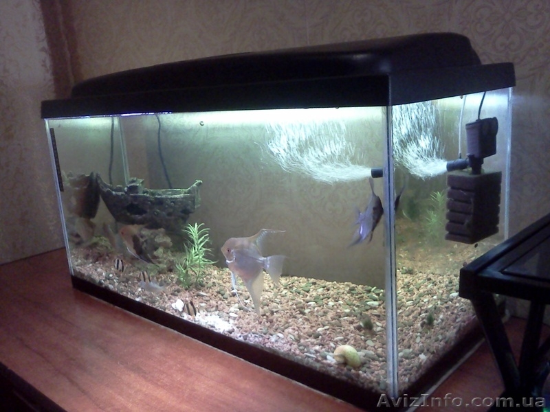Аквариум 112 литров handmade - <ro>Изображение</ro><ru>Изображение</ru> #3, <ru>Объявление</ru> #833332