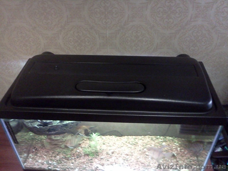 Аквариум 112 литров handmade - <ro>Изображение</ro><ru>Изображение</ru> #4, <ru>Объявление</ru> #833332