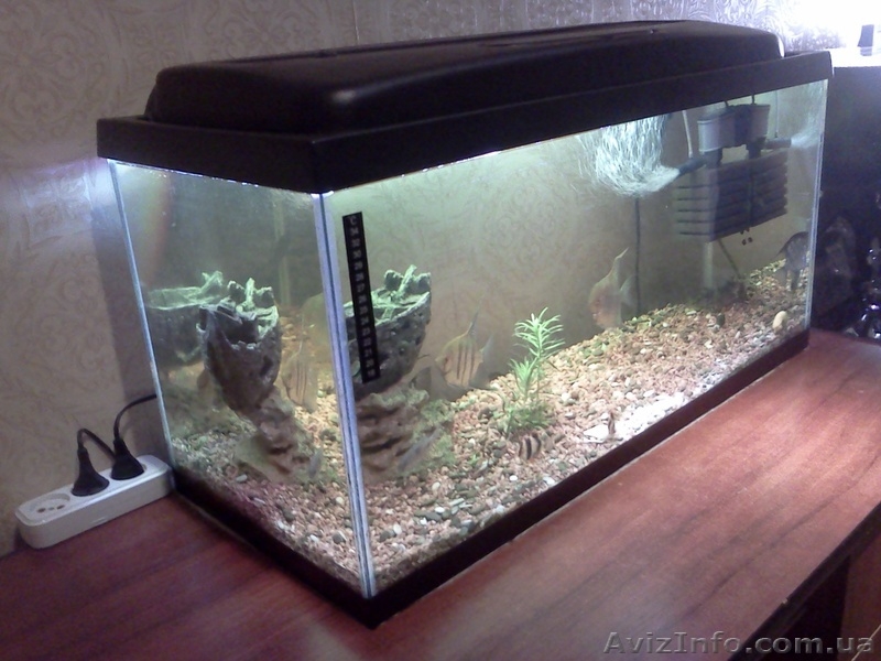Аквариум 112 литров handmade - <ro>Изображение</ro><ru>Изображение</ru> #5, <ru>Объявление</ru> #833332