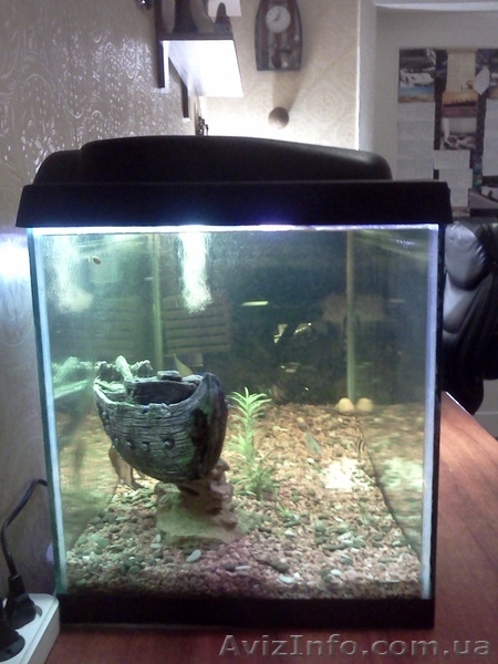 Аквариум 112 литров handmade - <ro>Изображение</ro><ru>Изображение</ru> #6, <ru>Объявление</ru> #833332