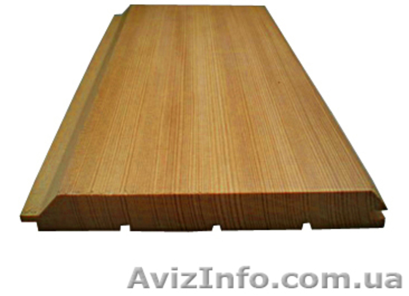 Сибирская лиственница Николаев - <ro>Изображение</ro><ru>Изображение</ru> #4, <ru>Объявление</ru> #857929