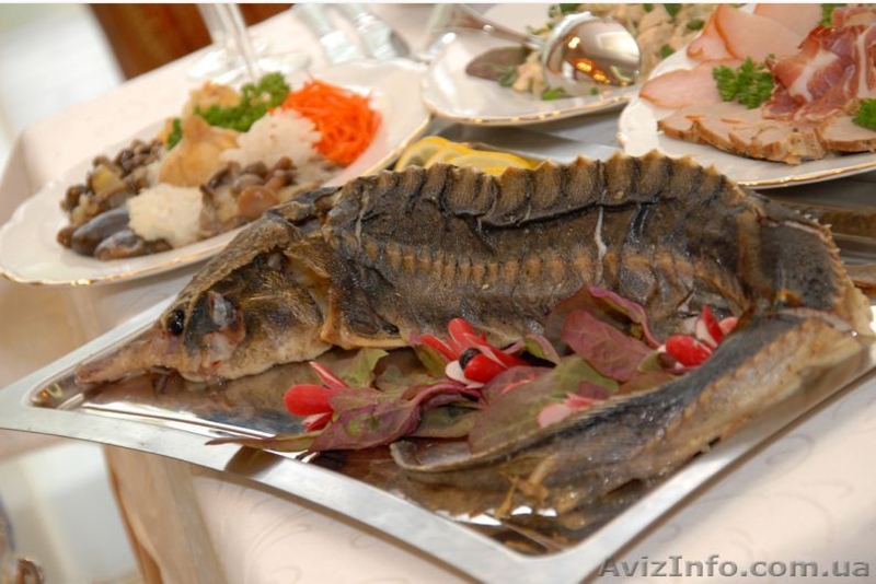 Приготовление фуршетных и банкетных блюд - <ro>Изображение</ro><ru>Изображение</ru> #2, <ru>Объявление</ru> #864094