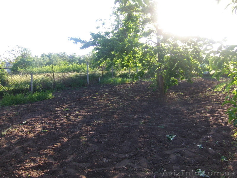 Продажа или обмен дома  - <ro>Изображение</ro><ru>Изображение</ru> #8, <ru>Объявление</ru> #900289