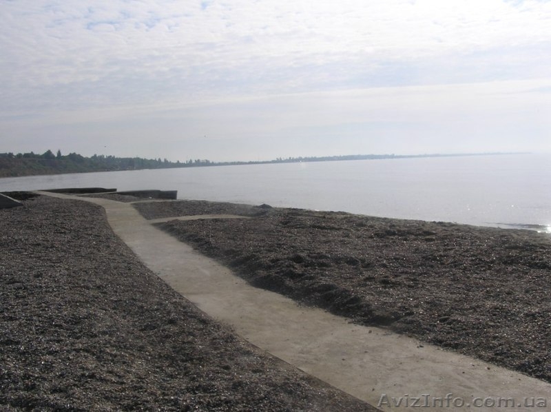 База отдыха "Троянда" в Рыбаковке  - <ro>Изображение</ro><ru>Изображение</ru> #8, <ru>Объявление</ru> #926352