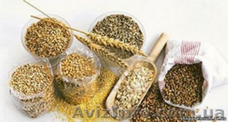 Товары для здоровья - <ro>Изображение</ro><ru>Изображение</ru> #3, <ru>Объявление</ru> #941919