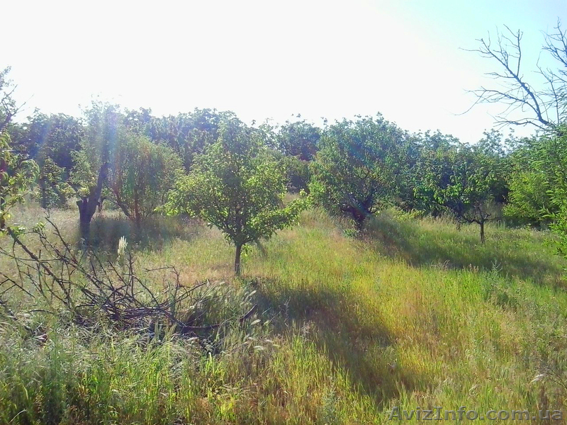 Продается дом в с.Радсад 35 000$ торг. - <ro>Изображение</ro><ru>Изображение</ru> #6, <ru>Объявление</ru> #962115