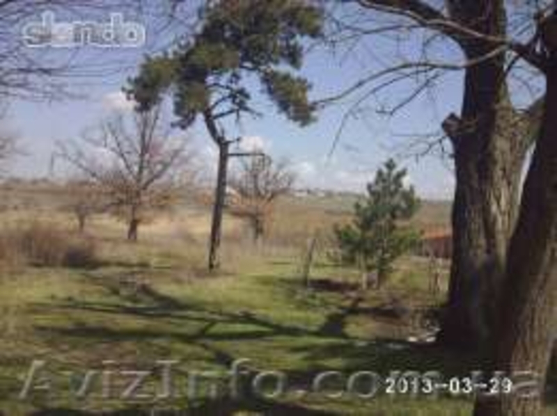 Участок в лесу площадью 22 сотки - <ro>Изображение</ro><ru>Изображение</ru> #4, <ru>Объявление</ru> #1004154