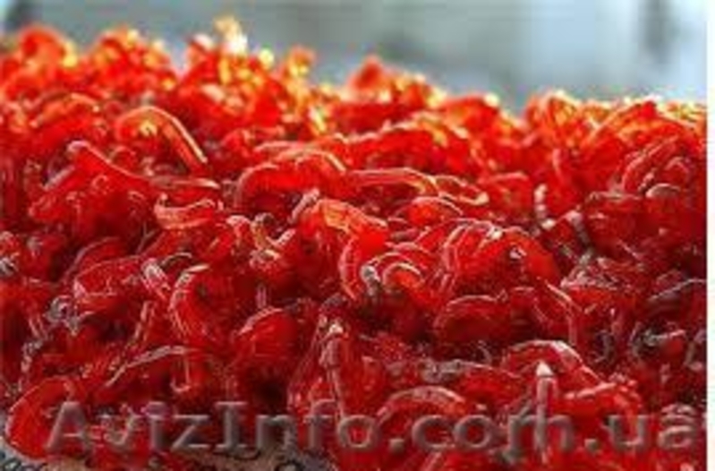 мотыль рыболовный - <ro>Изображение</ro><ru>Изображение</ru> #5, <ru>Объявление</ru> #1010174