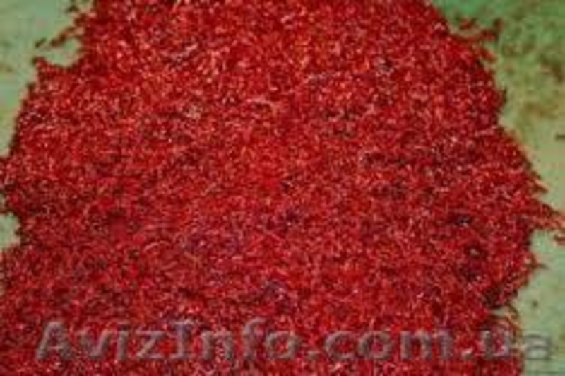 мотыль рыболовный - <ro>Изображение</ro><ru>Изображение</ru> #3, <ru>Объявление</ru> #1010174