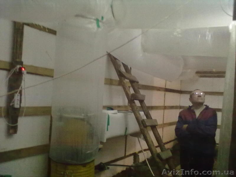 Выращивание грибов - <ro>Изображение</ro><ru>Изображение</ru> #3, <ru>Объявление</ru> #1023143