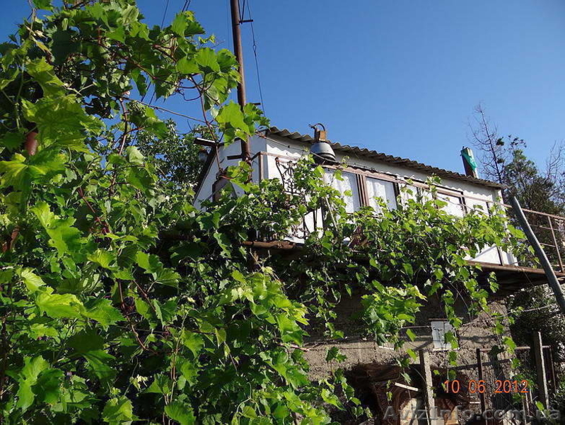 Отдых в Очакове на Черном море, не дорого. - <ro>Изображение</ro><ru>Изображение</ru> #4, <ru>Объявление</ru> #1098077