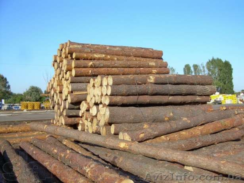 Продам пиломатериалы кругляк, вагонка, блок-хаус, брус, доска обрезная - <ro>Изображение</ro><ru>Изображение</ru> #5, <ru>Объявление</ru> #1117008