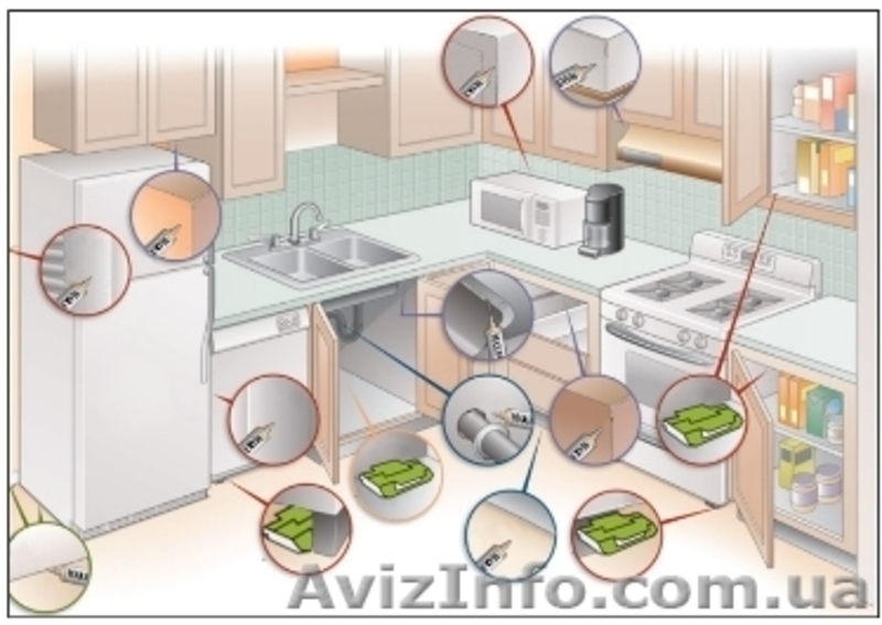 Эффективное и экономичное средство от тараканов - <ro>Изображение</ro><ru>Изображение</ru> #4, <ru>Объявление</ru> #1141718