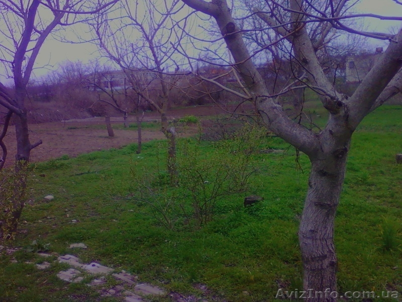 Дом за городом, село Марьевка - <ro>Изображение</ro><ru>Изображение</ru> #6, <ru>Объявление</ru> #1247569