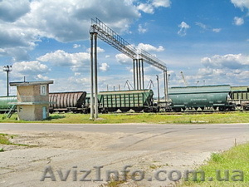 Аренда-Продажа.Территория для зерновой компании р-н порта Октябрьск ,  - <ro>Изображение</ro><ru>Изображение</ru> #7, <ru>Объявление</ru> #1289218