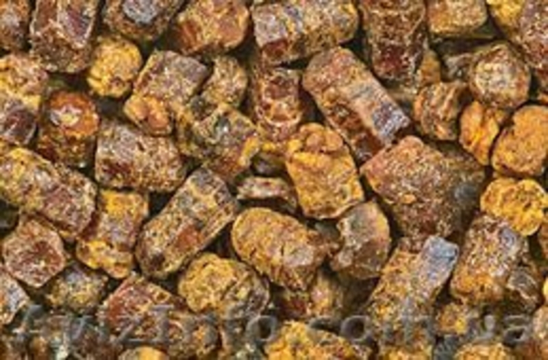 Куплю мёд и продукты пчеловодства - <ro>Изображение</ro><ru>Изображение</ru> #3, <ru>Объявление</ru> #1299383