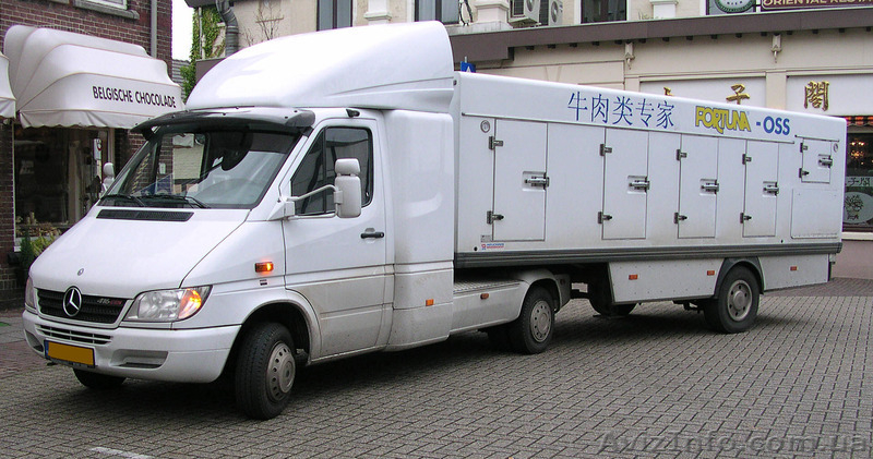 компьютерная диагностика микроавтобусов  Mercedes и Volkswagen в Одессе  - <ro>Изображение</ro><ru>Изображение</ru> #4, <ru>Объявление</ru> #1306216