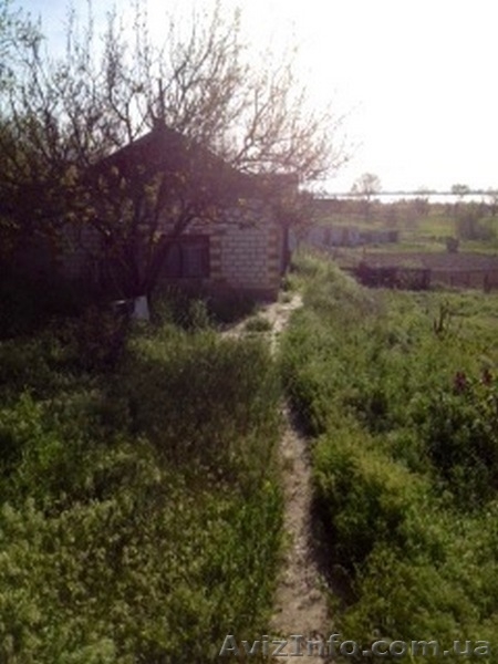 На самом берегу, с приватным выходом на реку. - <ro>Изображение</ro><ru>Изображение</ru> #3, <ru>Объявление</ru> #1309070