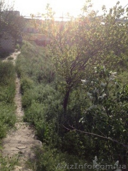 На самом берегу, с приватным выходом на реку. - <ro>Изображение</ro><ru>Изображение</ru> #5, <ru>Объявление</ru> #1309070