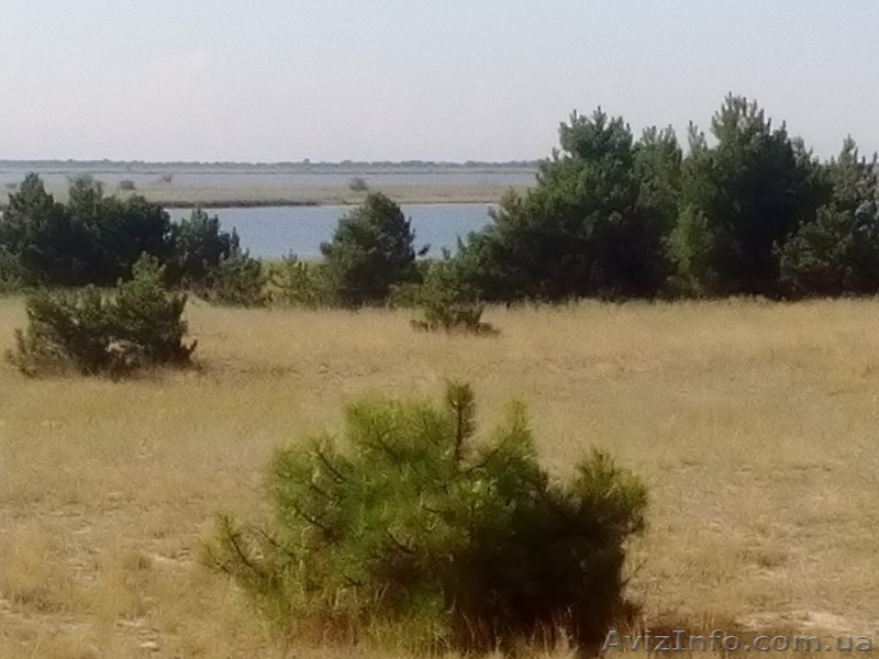 черное море 2016 - <ro>Изображение</ro><ru>Изображение</ru> #6, <ru>Объявление</ru> #1468297