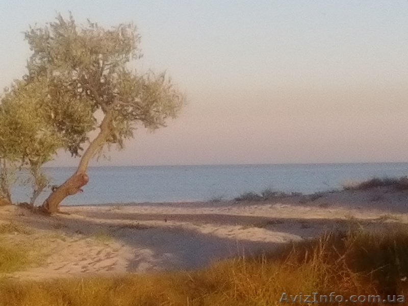 черное море 2016 - <ro>Изображение</ro><ru>Изображение</ru> #4, <ru>Объявление</ru> #1468297
