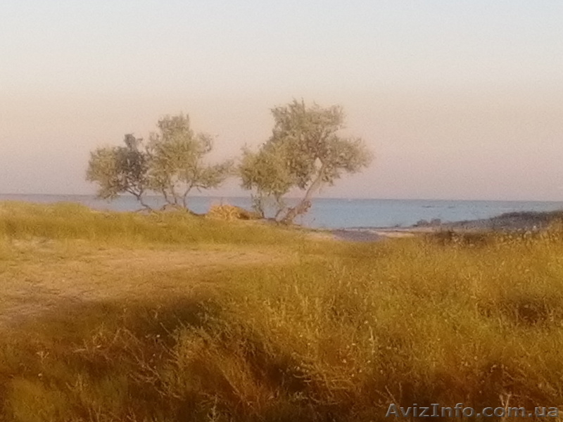 черное море 2016 - <ro>Изображение</ro><ru>Изображение</ru> #5, <ru>Объявление</ru> #1468297
