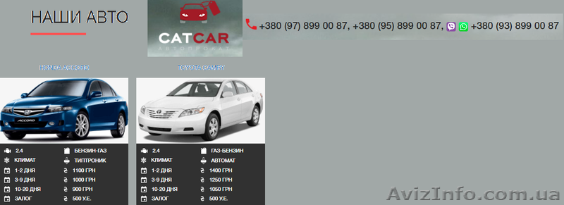 Автопрокат CATCAR. Работаем в  Николаеве - <ro>Изображение</ro><ru>Изображение</ru> #3, <ru>Объявление</ru> #1537762