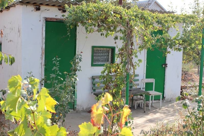 Продаю Дачу в Лупарево, Николаевская область! - <ro>Изображение</ro><ru>Изображение</ru> #4, <ru>Объявление</ru> #1539933