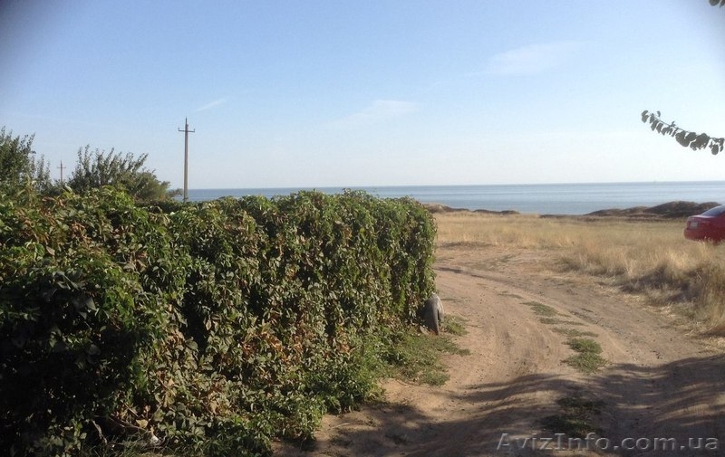 Продаю Дачу в Лупарево, Николаевская область! - <ro>Изображение</ro><ru>Изображение</ru> #5, <ru>Объявление</ru> #1539933