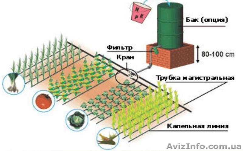 Капельный набор - капельная лента  шланг туман трубка для полива агроволокно - <ro>Изображение</ro><ru>Изображение</ru> #3, <ru>Объявление</ru> #1560425