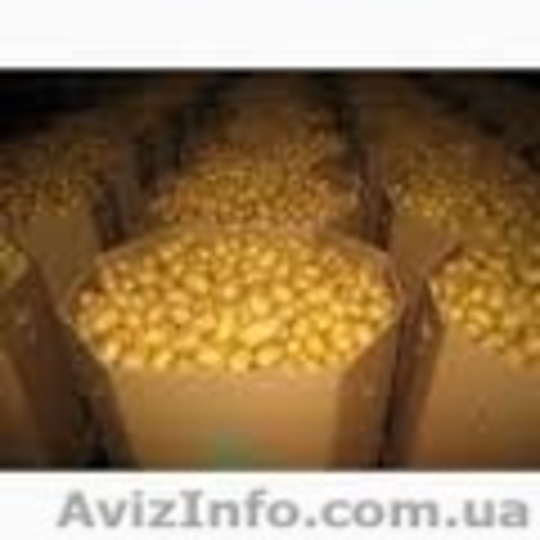 Октабин под бахчу - арбуз,дыню - <ro>Изображение</ro><ru>Изображение</ru> #3, <ru>Объявление</ru> #1568688