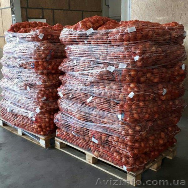 Лук репчатый урожая 2017 - <ro>Изображение</ro><ru>Изображение</ru> #4, <ru>Объявление</ru> #1589985