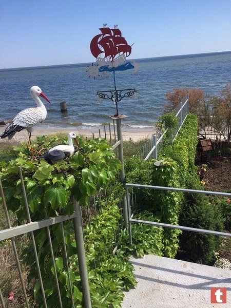 Продаю дом на берегу моря Очаков Черноморка  - <ro>Изображение</ro><ru>Изображение</ru> #7, <ru>Объявление</ru> #1656002