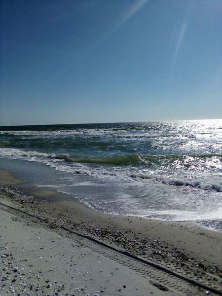 Отдых на Кинбурской косе - <ro>Изображение</ro><ru>Изображение</ru> #3, <ru>Объявление</ru> #1658985