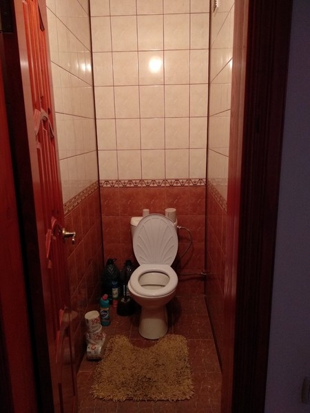 Продаю дом - <ro>Изображение</ro><ru>Изображение</ru> #4, <ru>Объявление</ru> #1660446