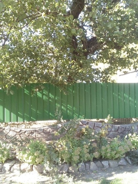 Міні-будиночек Миколаївська обл. Баштанський р-н с. Добре - <ro>Изображение</ro><ru>Изображение</ru> #3, <ru>Объявление</ru> #1675262