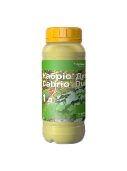 Фунгіциди виробництва компанії BASF (Німеччина) - <ro>Изображение</ro><ru>Изображение</ru> #8, <ru>Объявление</ru> #1682202