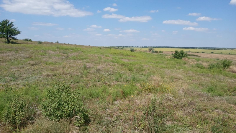 Продам земельну ділянку 0.12 га Коларовка - <ro>Изображение</ro><ru>Изображение</ru> #5, <ru>Объявление</ru> #1714944