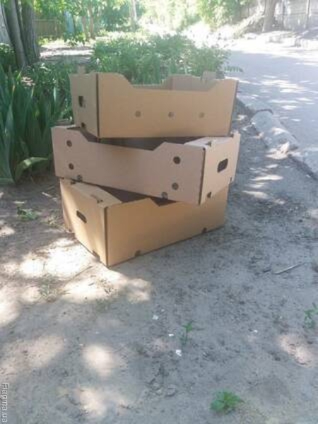 картонный лоток под персик - <ro>Изображение</ro><ru>Изображение</ru> #3, <ru>Объявление</ru> #1737699